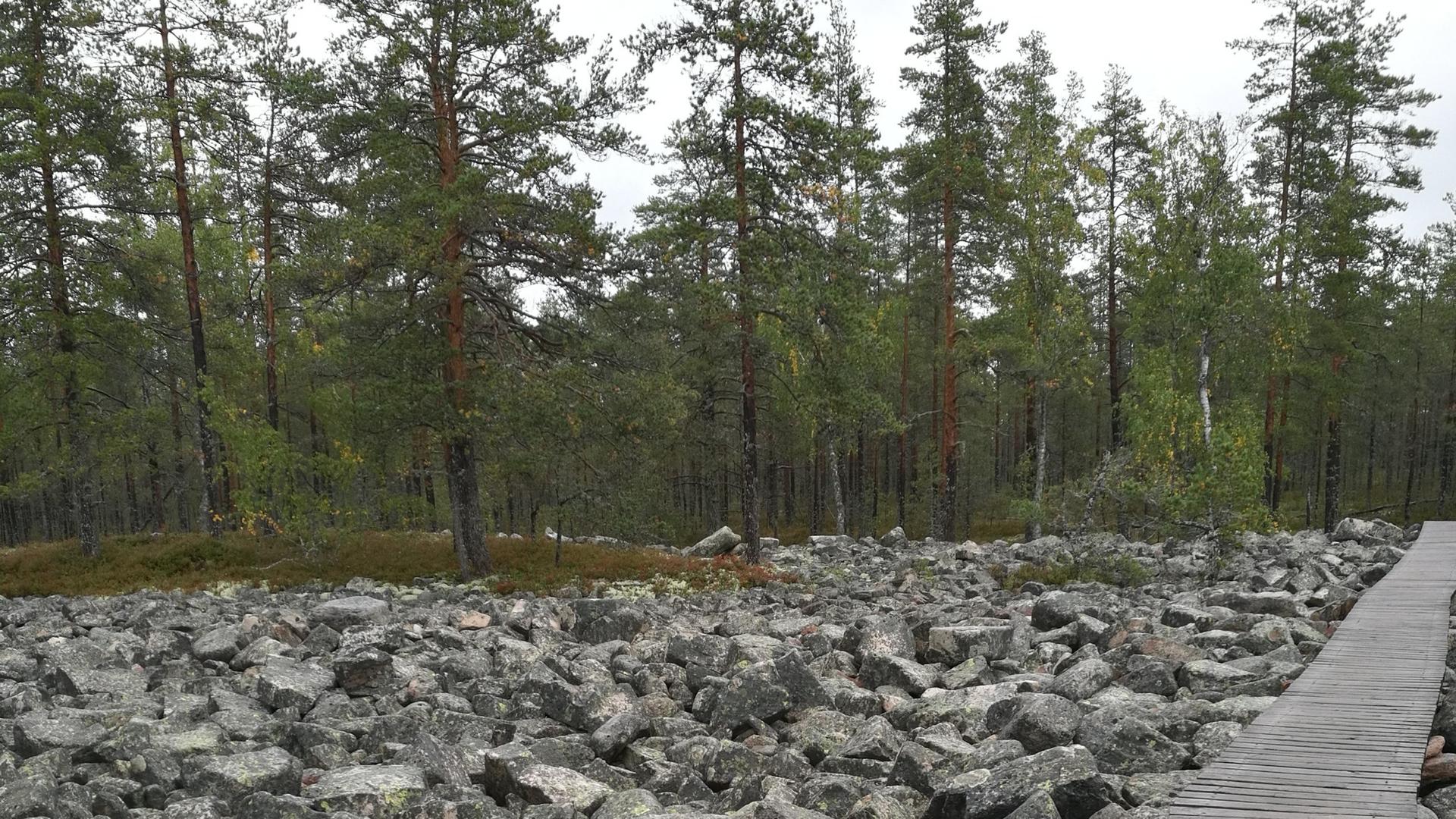 Pirunpelto Lauhanvuoren kansallispuistossa