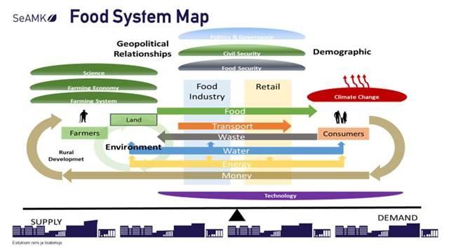 Kuvio esittää ruoka-alan järjestelmien rakentumisen suhteessa elinkeinoelämään ja kulujttajiin.